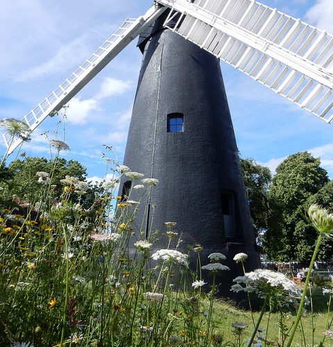 Windmill Gardens in summer