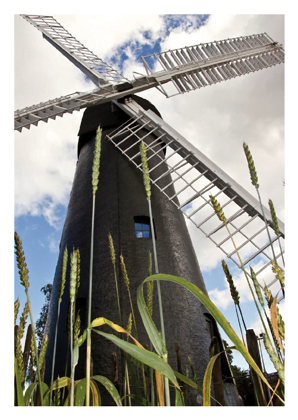 brixton windmill postcard
