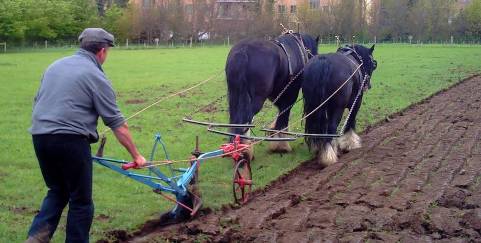 ploughing - operation centaur