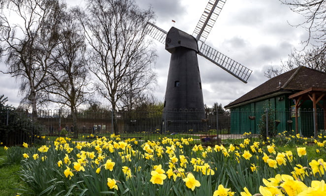 welcome-to-brixton-windmill