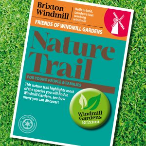Nature Trail for young people at Brixton Windmill