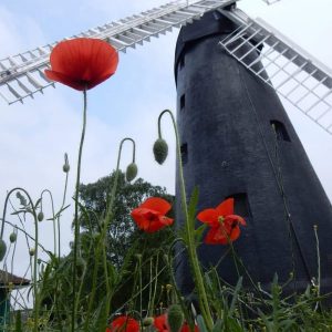 Brixton Windmill and poppies