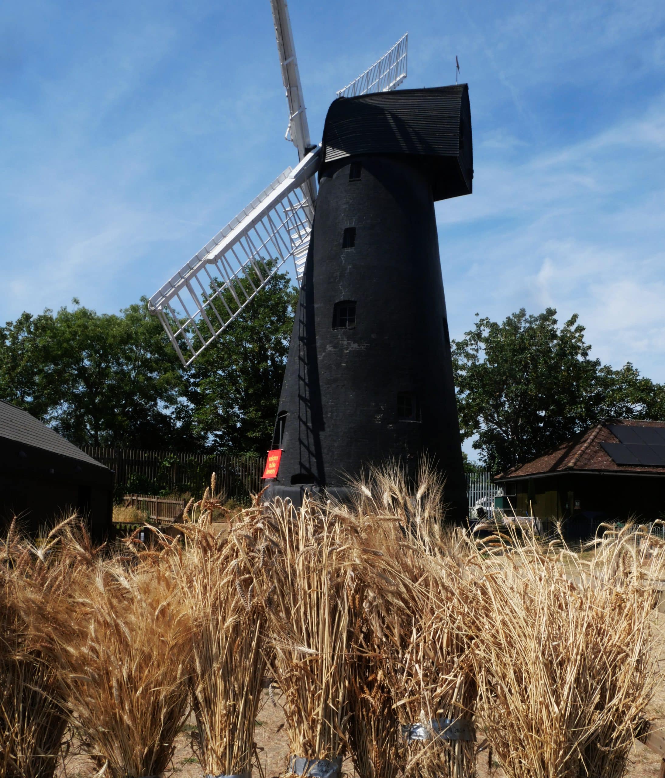 Harvest Home 3 August